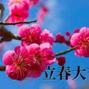 ヒメ日記 2026/02/04 10:51 投稿 三浦春奈 五十路マダム 博多店