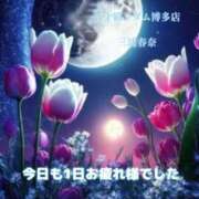 ヒメ日記 2026/02/11 00:07 投稿 三浦春奈 五十路マダム 博多店