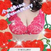 ヒメ日記 2026/04/12 12:25 投稿 三浦春奈 五十路マダム 博多店