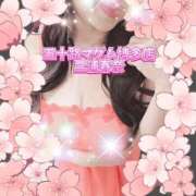 ヒメ日記 2026/04/20 07:56 投稿 三浦春奈 五十路マダム 博多店