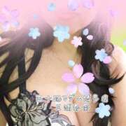ヒメ日記 2026/04/22 07:47 投稿 三浦春奈 五十路マダム 博多店