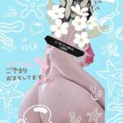 ヒメ日記 2026/05/15 06:47 投稿 三浦春奈 五十路マダム 博多店