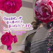 ヒメ日記 2026/05/19 23:07 投稿 三浦春奈 五十路マダム 博多店