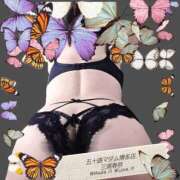 ヒメ日記 2026/06/18 19:48 投稿 三浦春奈 五十路マダム 博多店