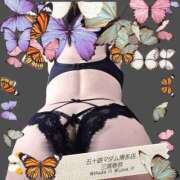 ヒメ日記 2026/07/05 20:49 投稿 三浦春奈 五十路マダム 博多店