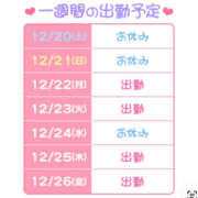 ヒメ日記 2025/12/20 21:03 投稿 りょう ハピネス札幌