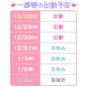 ヒメ日記 2025/12/28 20:03 投稿 りょう ハピネス札幌