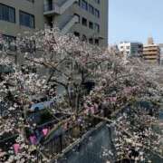 りょう 桜🌸 ハピネス札幌