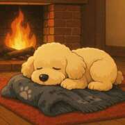 ヒメ日記 2025/12/30 14:36 投稿 りり 制服これくしょん