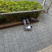 ヒメ日記 2026/06/13 11:36 投稿 りり 制服これくしょん