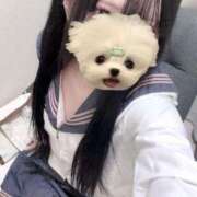 ヒメ日記 2026/01/09 20:13 投稿 てのん コンカフェ×オナクラ あいこねくと