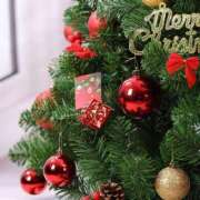 ヒメ日記 2025/12/19 23:38 投稿 山根 美穂 人妻セレブ宮殿