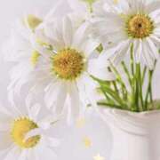 ヒメ日記 2026/03/09 11:31 投稿 山根 美穂 人妻セレブ宮殿