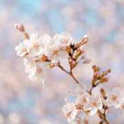 ヒメ日記 2026/03/26 12:37 投稿 山根 美穂 人妻セレブ宮殿