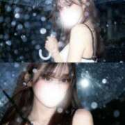 ヒメ日記 2025/12/29 01:59 投稿 もも 東京メンズエステ-TokyoMensEsthe-