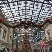 ヒメ日記 2025/12/13 16:46 投稿 さのん ZERO