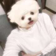 ヒメ日記 2025/12/19 17:01 投稿 はるく ごほうびSPA京都店