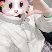 ヒメ日記 2025/12/21 16:36 投稿 はるく ごほうびSPA京都店