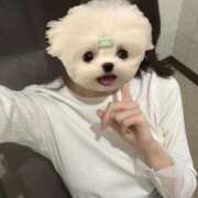 ヒメ日記 2026/02/14 21:18 投稿 はるく ごほうびSPA京都店