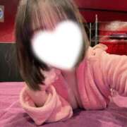 ココア まってます😻 バニーコレクション千葉栄町店