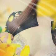 ヒメ日記 2025/12/15 16:05 投稿 はすみ 水戸人妻花壇