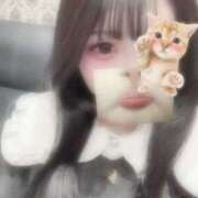 ヒメ日記 2025/12/11 10:31 投稿 りんご スピードエコ京橋店