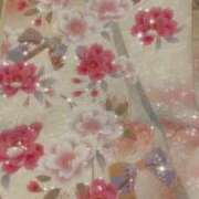 ヒメ日記 2026/01/13 14:51 投稿 りんご スピードエコ京橋店