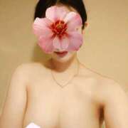 ヒメ日記 2026/02/07 12:19 投稿 いろは 東京メンズボディクリニック TMBC 秋葉原店