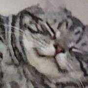 ヒメ日記 2026/01/14 20:36 投稿 ひかる マシュマロフロート