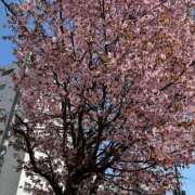 ヒメ日記 2026/04/20 15:43 投稿 NEIRO（ねいろ） UTAKATA