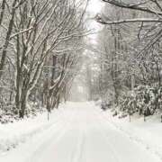 ヒメ日記 2026/02/01 23:19 投稿 ひびき未経験 マダム可憐