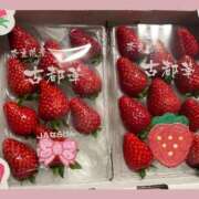 ヒメ日記 2026/02/10 10:19 投稿 ひびき未経験 マダム可憐