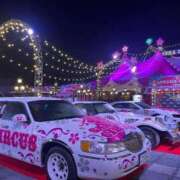 ヒメ日記 2026/03/18 12:43 投稿 ひびき未経験 マダム可憐