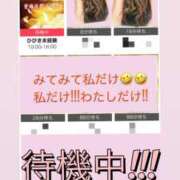 ヒメ日記 2026/05/12 12:59 投稿 ひびき未経験 マダム可憐