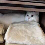 ヒメ日記 2025/12/20 21:26 投稿 妃奈乃/ひなの ANEJE～アネージュ池袋～(ユメオト)