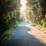 ヒメ日記 2026/04/08 06:33 投稿 かりん NEW GENERATION