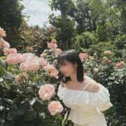 ヒメ日記 2026/04/07 18:16 投稿 長谷川夕妃 皇帝別館（こうていべっかん）