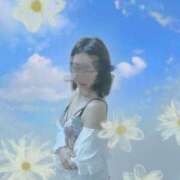 ヒメ日記 2025/12/29 11:25 投稿 こもも 渋谷蘭の会