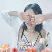 ヒメ日記 2026/01/03 10:55 投稿 こもも 渋谷蘭の会