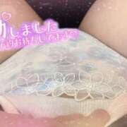 ヒメ日記 2026/02/17 10:07 投稿 菫（すみれ） 越後屋池袋総本店