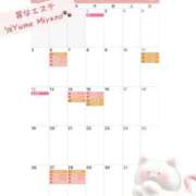 ヒメ日記 2025/12/30 12:02 投稿 宮野ゆめ 罪なエステ 品川