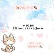 ヒメ日記 2026/02/22 12:02 投稿 宮野ゆめ 罪なエステ 品川