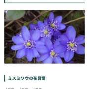 ヒメ日記 2026/02/28 17:41 投稿 宮野ゆめ 罪なエステ 品川