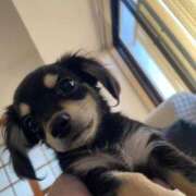 ヒメ日記 2026/02/11 12:43 投稿 ゆみ ぽっちゃり巨乳専門店 町田相模原ちゃんこ