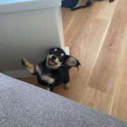 ヒメ日記 2026/02/23 12:34 投稿 ゆみ ぽっちゃり巨乳専門店 町田相模原ちゃんこ