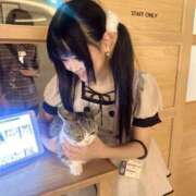 ヒメ日記 2026/09/06 17:02 投稿 なち あふたーすくーる本店