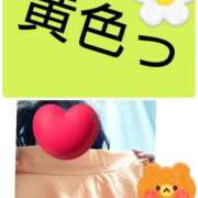 ヒメ日記 2025/12/30 10:41 投稿 なつみ 石川金沢ちゃんこ