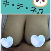 ヒメ日記 2026/01/17 06:21 投稿 なつみ 石川金沢ちゃんこ