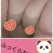 ヒメ日記 2026/02/03 05:21 投稿 なつみ 石川金沢ちゃんこ