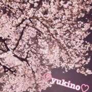 ヒメ日記 2026/04/06 01:51 投稿 ゆきの 奥様はエンジェル　町田店